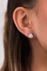 Philippa - Round 4 Claw Earrings Lifestyle Image