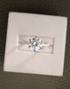 Platinum | 8.5mm Round Moissanite | Lab Diamond side stones