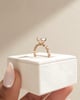 18k Rose Gold | 8x6mm Oval Moissanite | Lab Diamond side stones