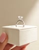 Platinum | 10x7mm Oval Moissanite | Lab Diamond side stones