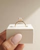 18k Rose Gold | Eagle Claw | 2.49ct - E - VS1 Pear Lab Diamond