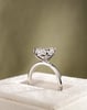 Platinum | Eagle Claw | 2.55ct - E - VS1 Pear Lab Diamond