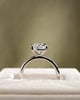 Platinum | Eagle Claw | 2.55ct - E - VS1 Pear Lab Diamond