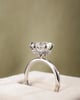Platinum | 3.05ct - E - VVS2 Round Lab Diamond | Lab Diamond side stones