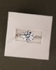 Platinum | 3.05ct - E - VVS2 Round Lab Diamond | Lab Diamond side stones