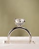 Platinum | 2.3ct - E - VS1 Round Lab Diamond | Lab Diamond side stones