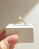 18k Yellow Gold | High Set | 2.82ct - E - VS1 Oval Lab Diamond | #2
