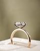 18k Rose Gold / Platinum | High Set | 2.09ct - D - VVS2 Oval Lab Diamond