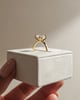 18k Yellow Gold | Low Set | 2.5ct - E - VS1 Oval Lab Diamond
