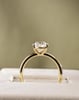 18k Yellow Gold | Low Set | 2.42ct - E - VS1 Oval Lab Diamond