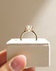 18k Yellow Gold | 8mm Round Moissanite