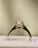 18k Yellow Gold | 1.51ct - F - VVS2 Oval Lab Diamond | Lab Diamond side stones