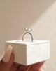 Platinum | 9x6.5mm Oval Moissanite | Lab Diamond side stones