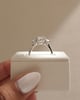 Platinum | 8mm Round Moissanite | Moissanite side stones