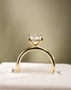 18k Yellow Gold | High Set | 2.61ct - D - VS1 Oval Lab Diamond | Lab Diamond side stones