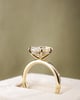 18k Yellow Gold | High Set | 2.51ct - D - VVS2 Oval Lab Diamond | Lab Diamond side stones