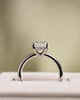 Platinum | Low Set | 2.43ct - E - VS1 Oval Lab Diamond | Lab Diamond side stones