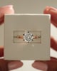 18k Rose Gold / Platinum | 8mm Round Moissanite