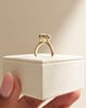 18k Yellow Gold | 10x7mm Oval Moissanite