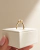 18k Yellow Gold | 8mm Round Moissanite | Lab Diamond side stones