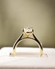 18k Yellow Gold | 2.8ct - E - VS1 Oval Lab Diamond