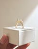 18k Yellow Gold | 8.5mm Round Moissanite | Moissanite side stones