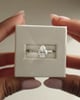 05_0251_Video.mov