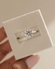 Platinum | 2.53ct - F - VS1 Round Lab Diamond | Lab Diamond side stones