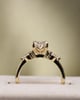18k Yellow Gold | High Set | 1.53ct - F - VS1 Oval Lab Diamond | Lab Diamond side stones