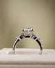 Platinum | High Set | 2.27ct - E - VVS2 Oval Lab Diamond | Lab Diamond side stones