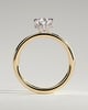 Ainsley - 5 Claw Pear Solitaire with Hidden Halo - 18k Yellow Gold / 18k White Gold