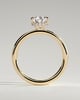 Ainsley - 5 Claw Pear Solitaire with Hidden Halo - 18k Yellow Gold