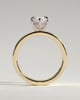 Aisha - Marquise 6 Claw Solitaire with Flat Cigar Band and Hidden Halo Engagement Ring - 18k Yellow Gold / 18k White Gold High Setting