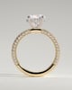 Alex  4 Claw Triple Pave Solitaire - 18k Yellow Gold / 18k White Gold