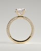 Alex  4 Claw Triple Pave Solitaire - 18k Yellow Gold