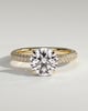 Alex  4 Claw Triple Pave Solitaire - 18k Yellow Gold