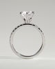 Alexandria  6 Claw Pav Round Solitaire - 18k White Gold