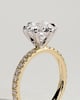 Alexandria  6 Claw Pav Round Solitaire - 18k Yellow Gold / 18k White Gold