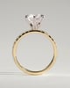 Alexandria  6 Claw Pav Round Solitaire - 18k Yellow Gold / 18k White Gold