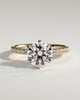 Alexandria  6 Claw Pav Round Solitaire - 18k Yellow Gold / 18k White Gold
