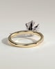 Alexandria  6 Claw Pav Round Solitaire - 18k Yellow Gold / 18k White Gold