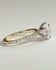 Alexandria  6 Claw Pav Round Solitaire - 18k Yellow Gold / 18k White Gold