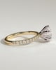 Alexandria  6 Claw Pav Round Solitaire - 18k Yellow Gold / 18k White Gold