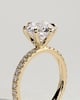 Alexandria  6 Claw Pav Round Solitaire - 18k Yellow Gold