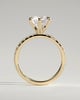 Alexandria  6 Claw Pav Round Solitaire - 18k Yellow Gold