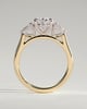 Alexia  Oval Trilogy Ring - 18k Yellow Gold / 18k White Gold