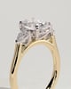 Alexia  Oval Trilogy Ring - 18k Yellow Gold / 18k White Gold