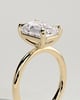 Alina - 4 Claw Emerald Solitaire - 4ct Yellow Gold