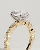 Alyssa  Oval Solitaire with Accent Stones - 18k Yellow Gold / 18k White Gold