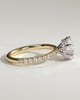 Amanda - 6 Claw Pav Round Solitaire with Hidden Halo - 18k Yellow Gold / 18k White Gold